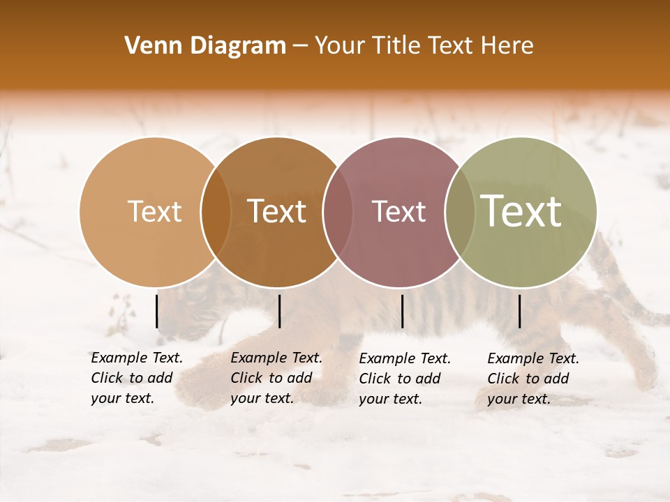 Walk Small Cub PowerPoint Template