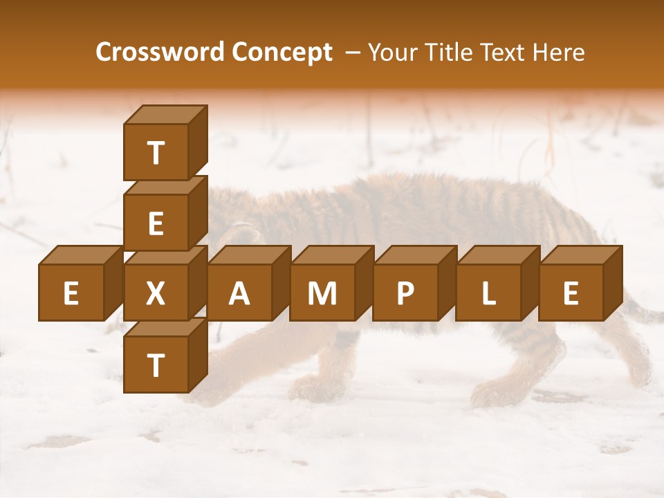 Walk Small Cub PowerPoint Template