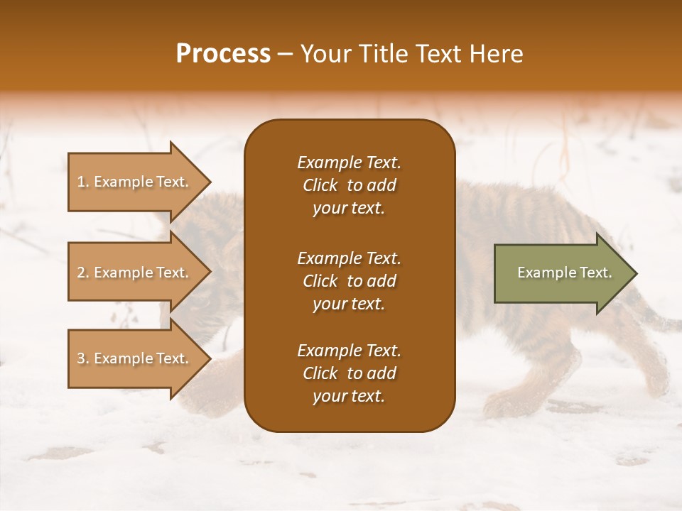 Walk Small Cub PowerPoint Template