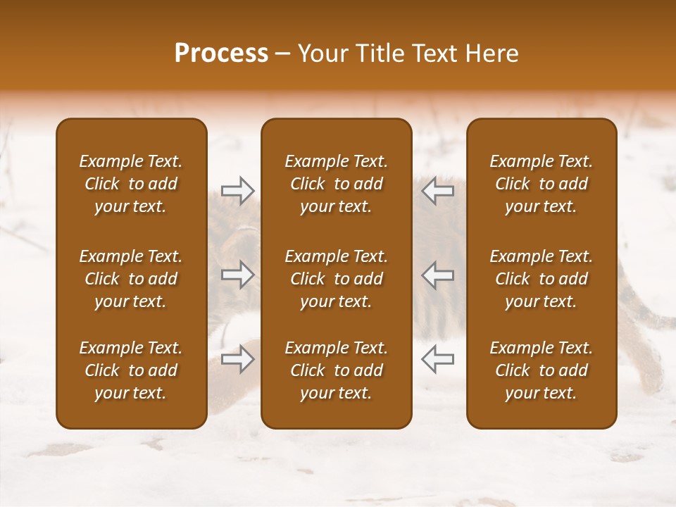 Walk Small Cub PowerPoint Template