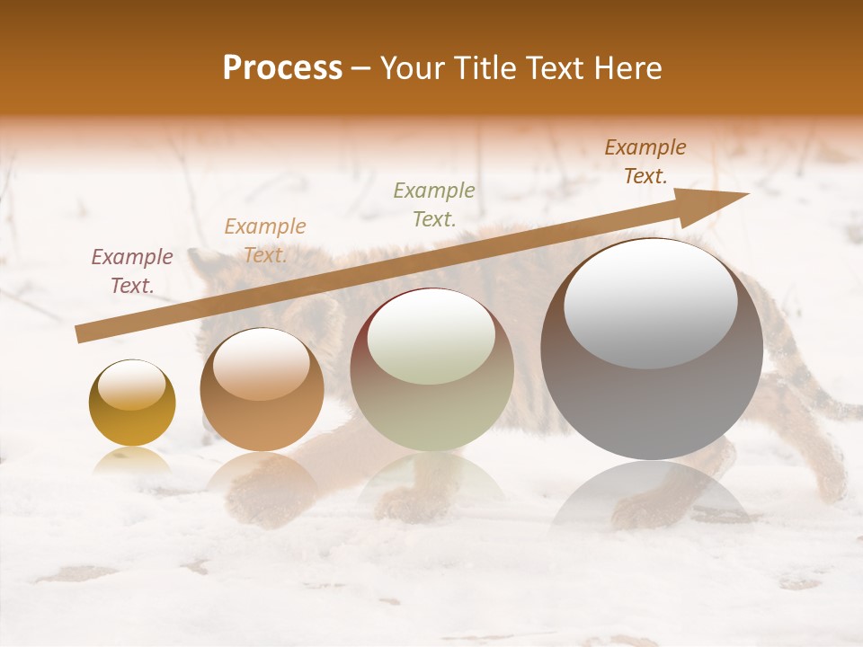 Walk Small Cub PowerPoint Template