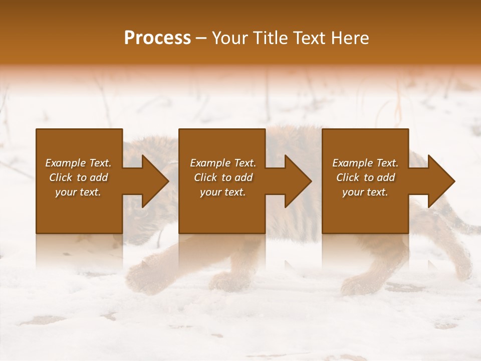 Walk Small Cub PowerPoint Template