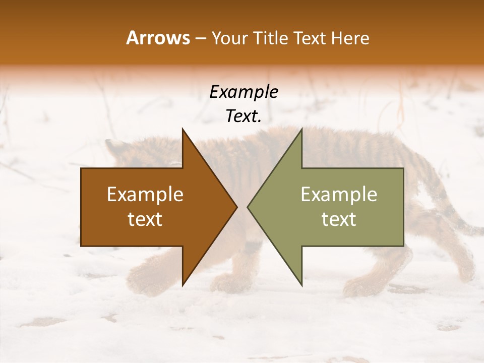 Walk Small Cub PowerPoint Template