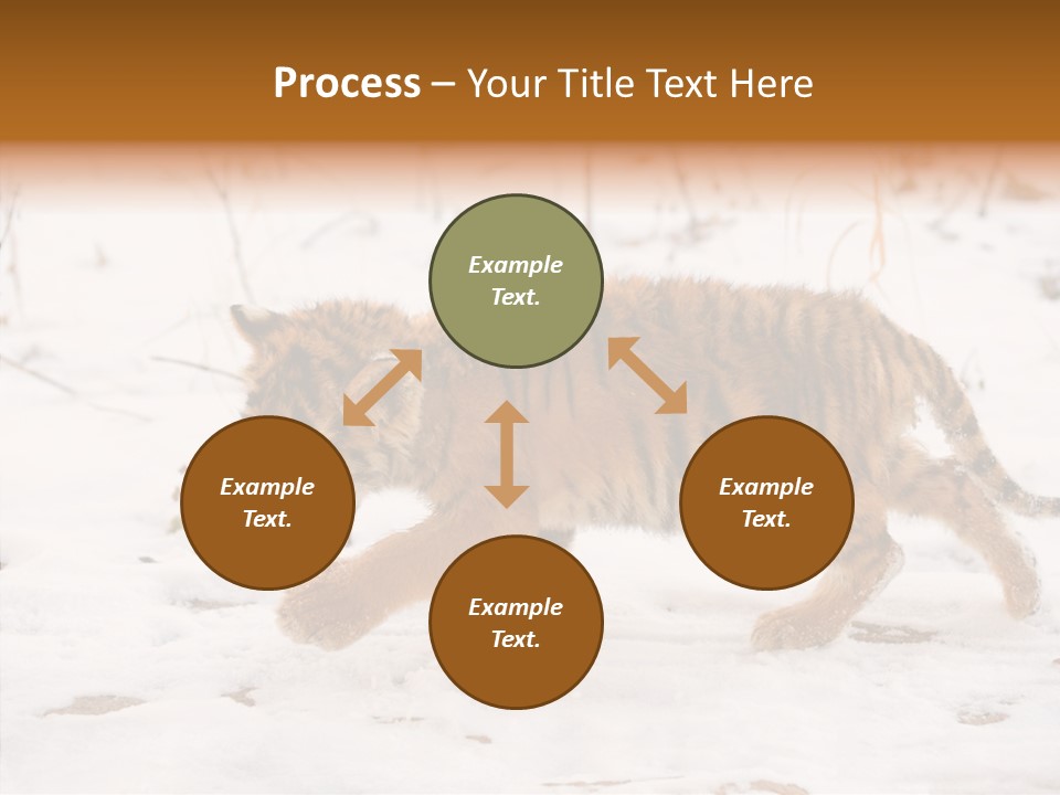 Walk Small Cub PowerPoint Template