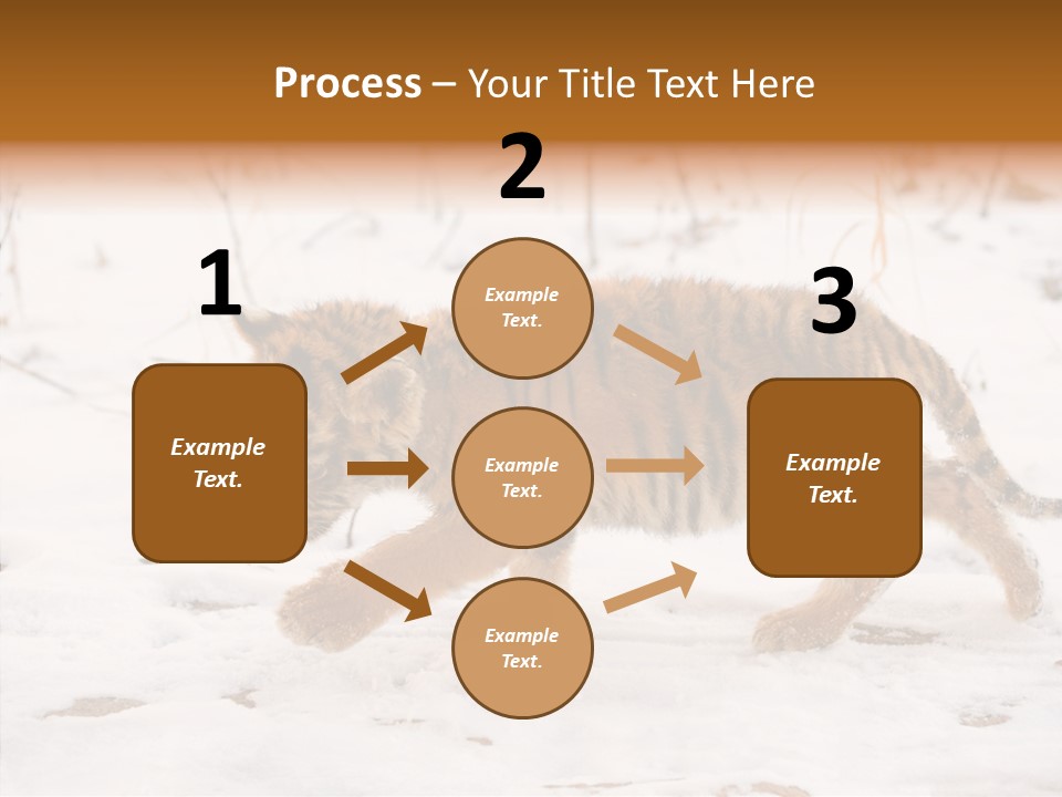 Walk Small Cub PowerPoint Template