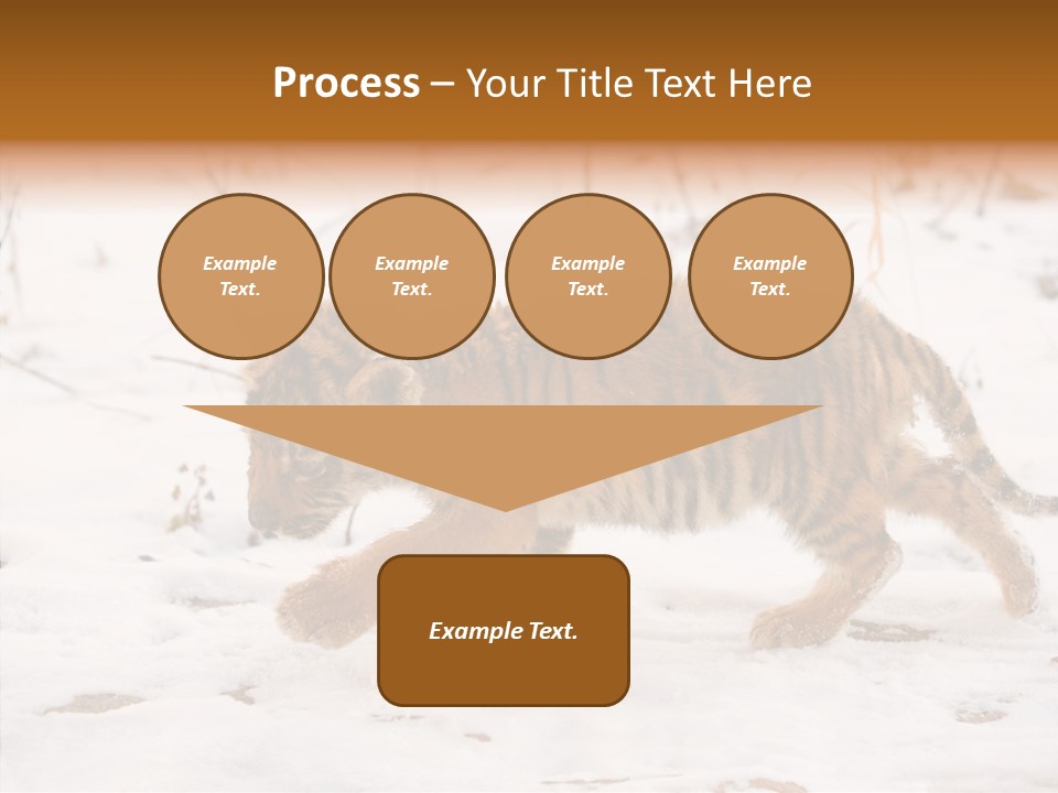 Walk Small Cub PowerPoint Template