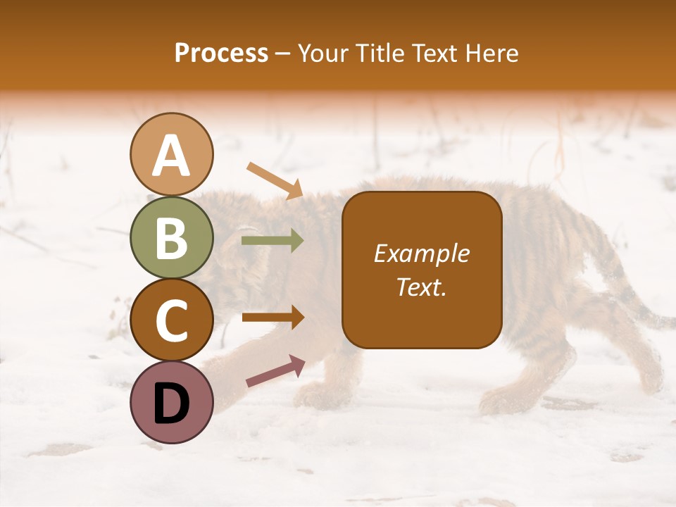 Walk Small Cub PowerPoint Template