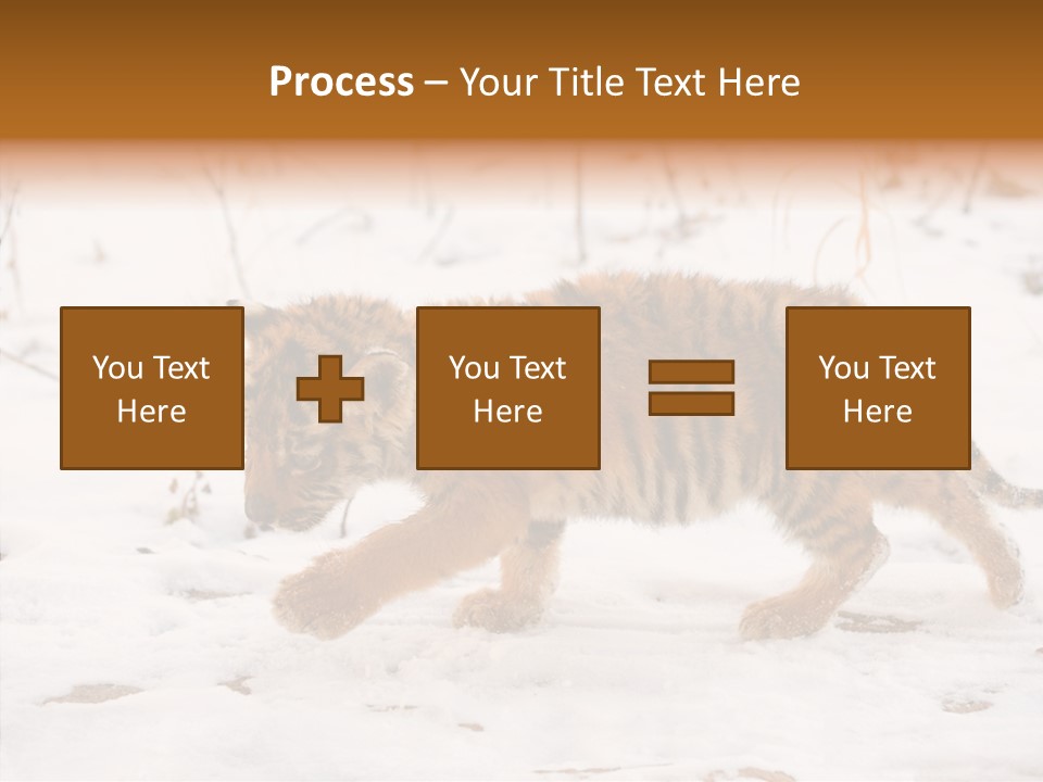 Walk Small Cub PowerPoint Template