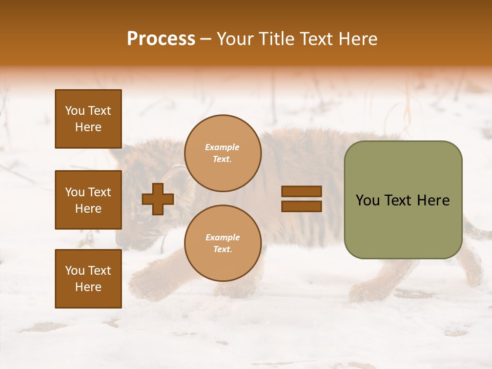 Walk Small Cub PowerPoint Template