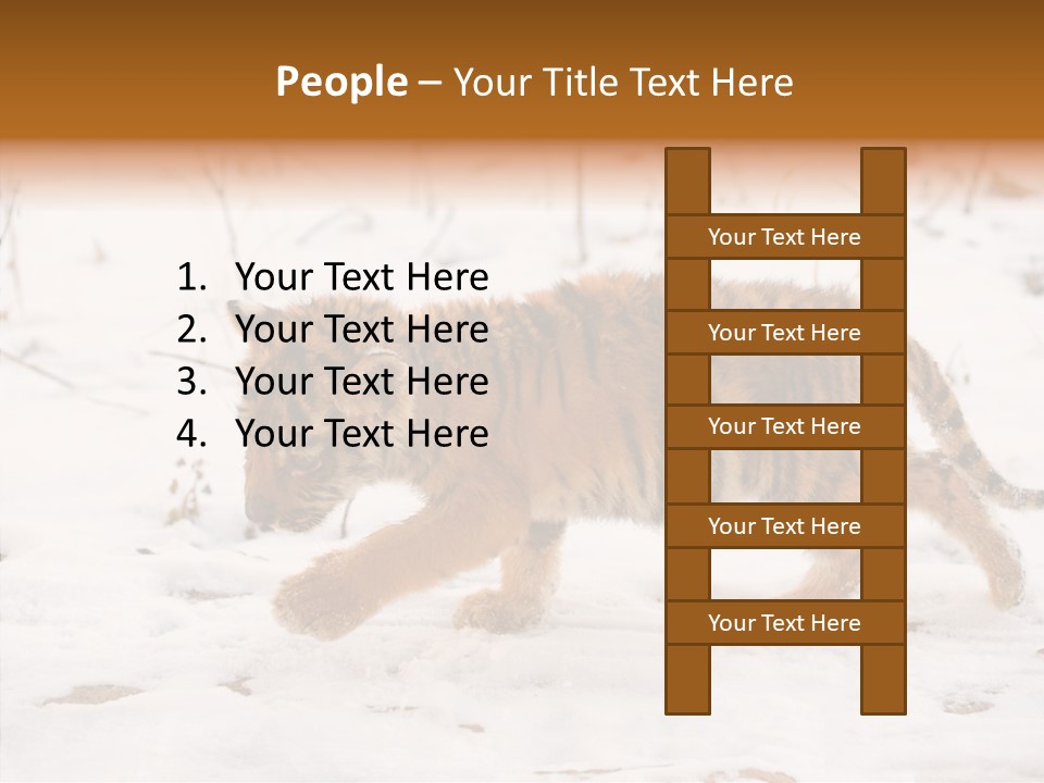 Walk Small Cub PowerPoint Template