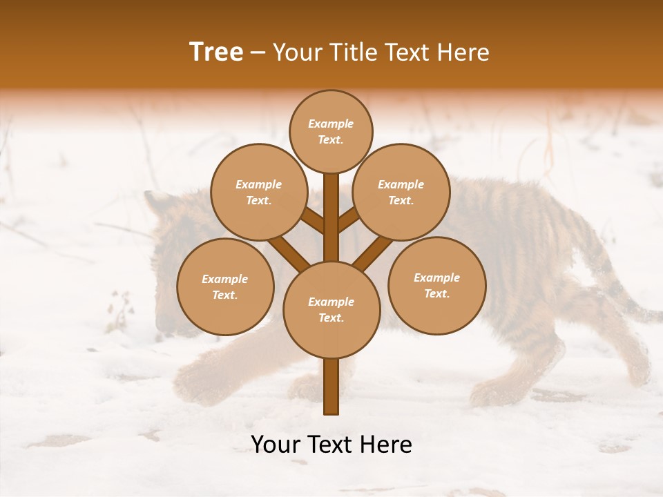 Walk Small Cub PowerPoint Template