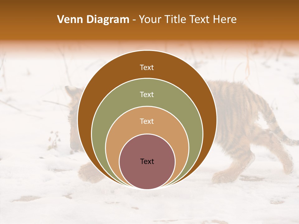 Walk Small Cub PowerPoint Template