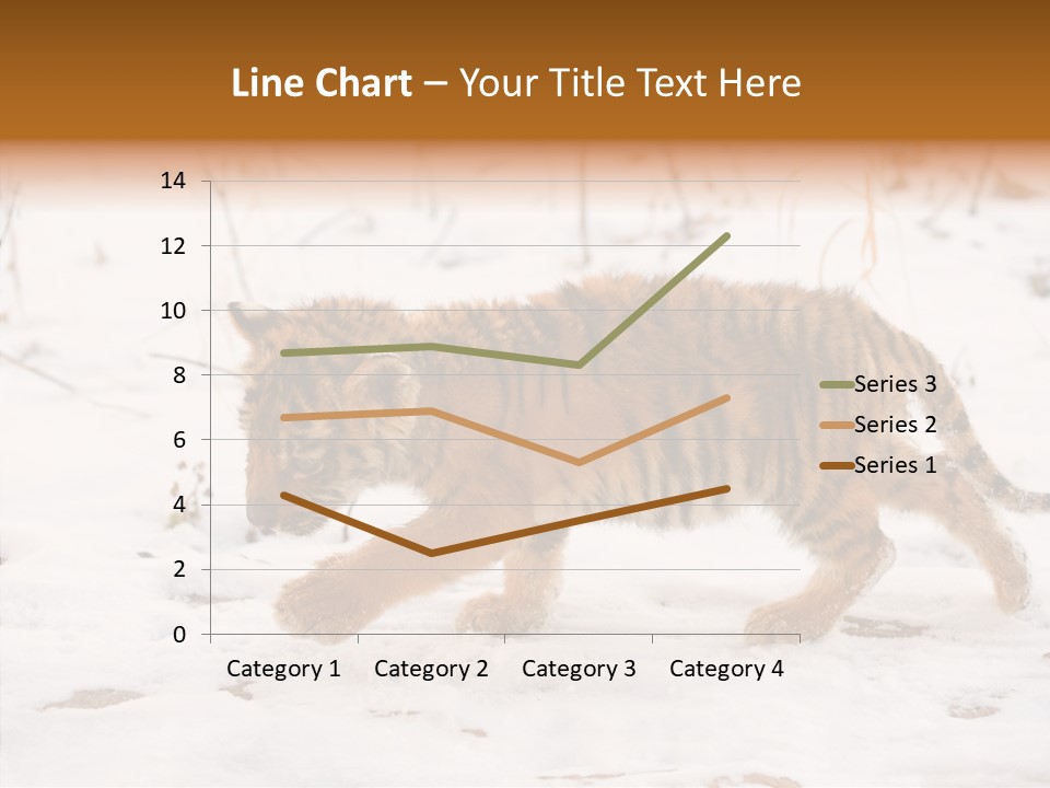 Walk Small Cub PowerPoint Template