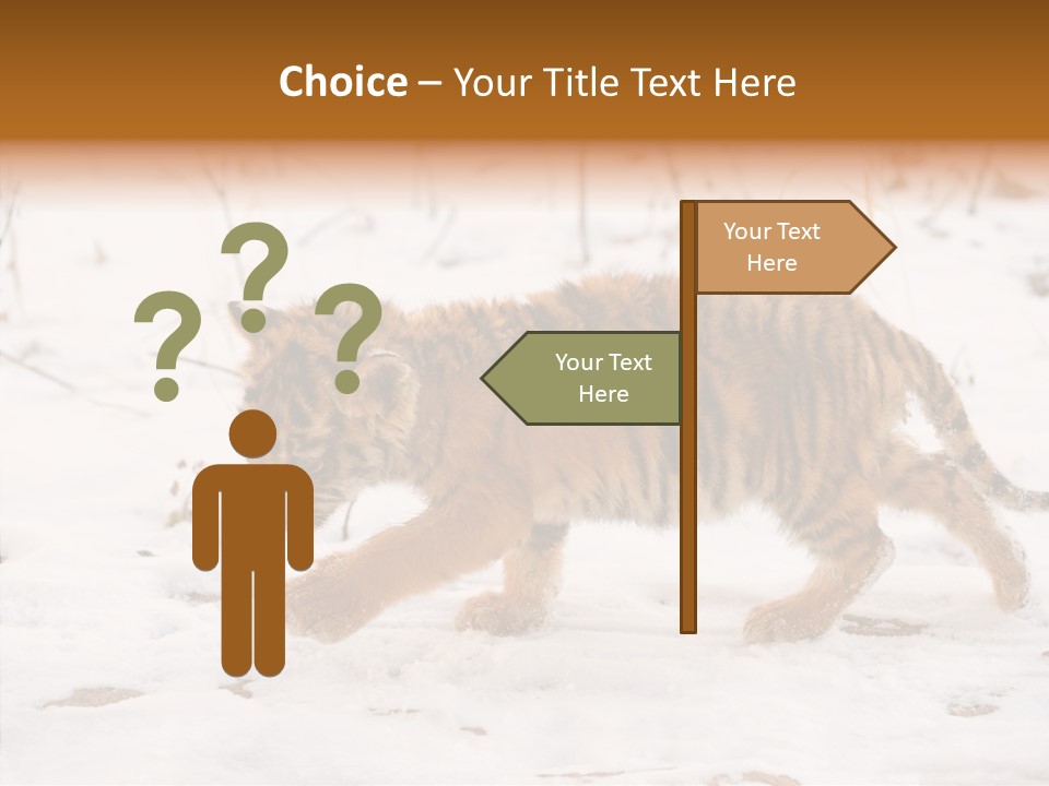 Walk Small Cub PowerPoint Template