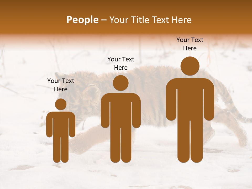 Walk Small Cub PowerPoint Template