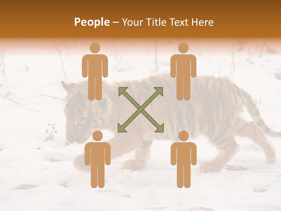 Walk Small Cub PowerPoint Template