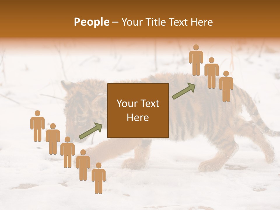 Walk Small Cub PowerPoint Template