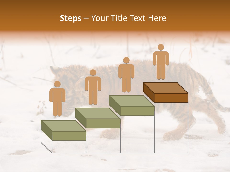 Walk Small Cub PowerPoint Template