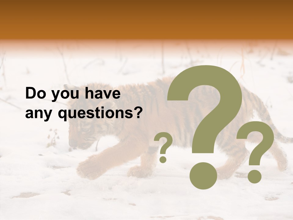 Walk Small Cub PowerPoint Template