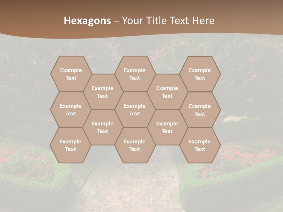 Beautiful Display Trees PowerPoint Template