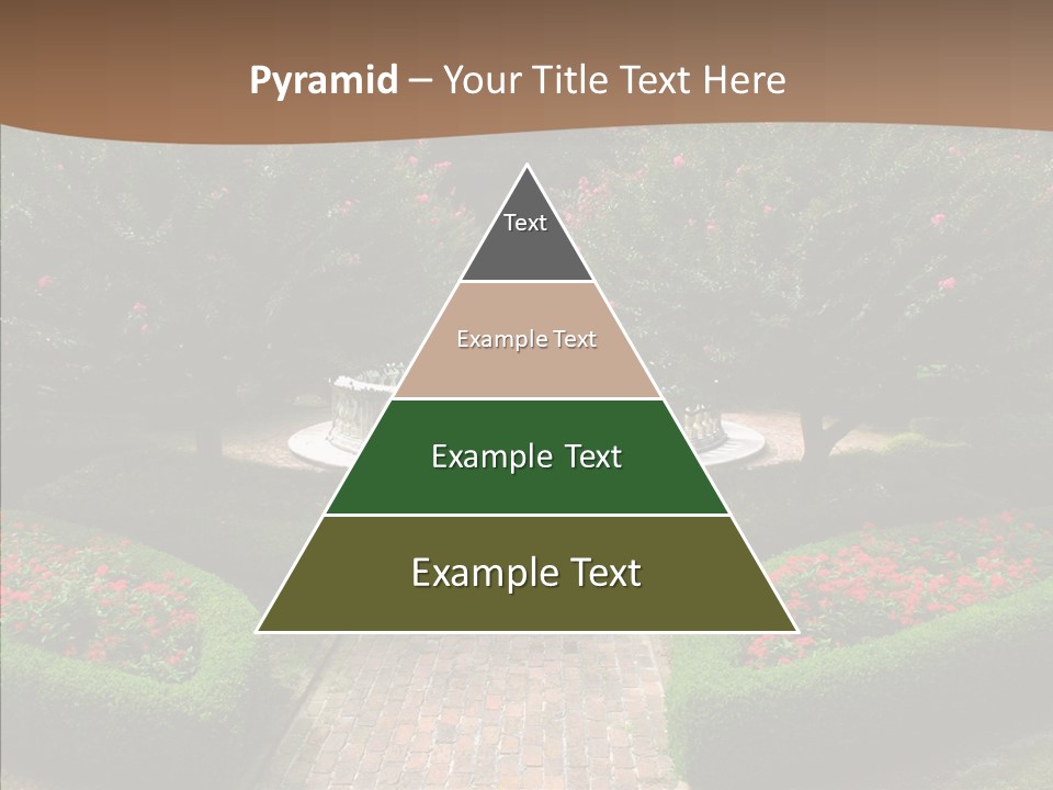 Beautiful Display Trees PowerPoint Template