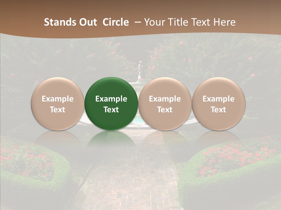 Beautiful Display Trees PowerPoint Template