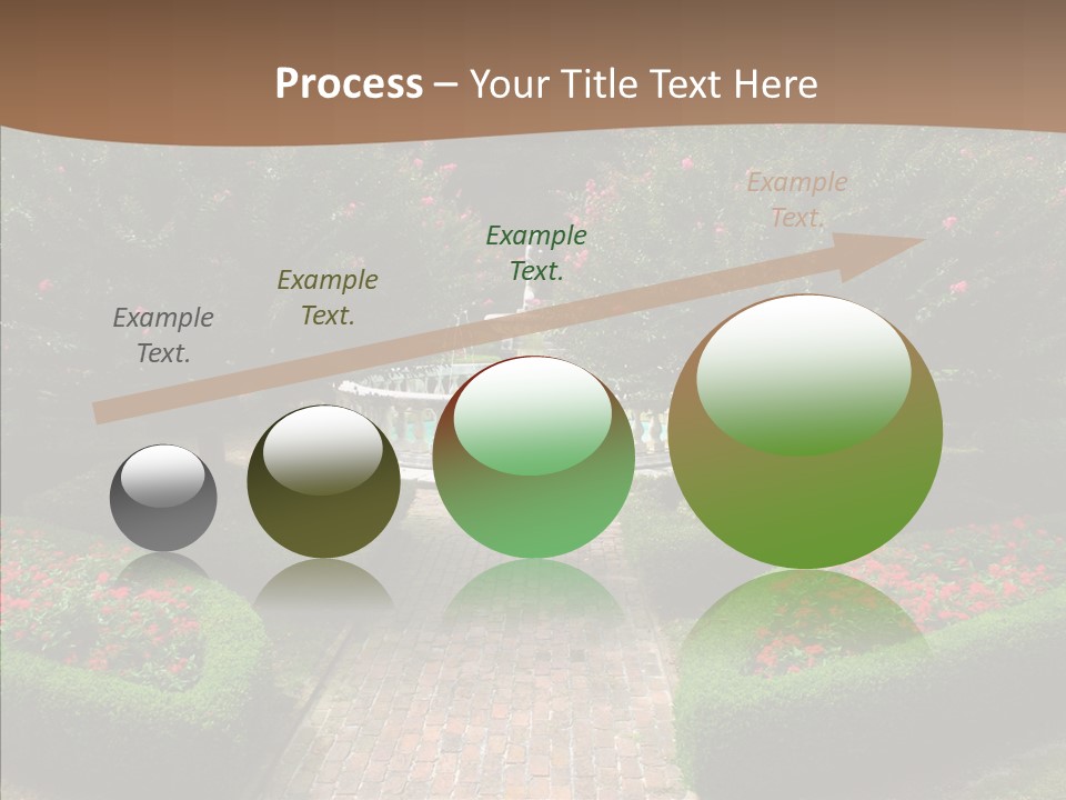 Beautiful Display Trees PowerPoint Template