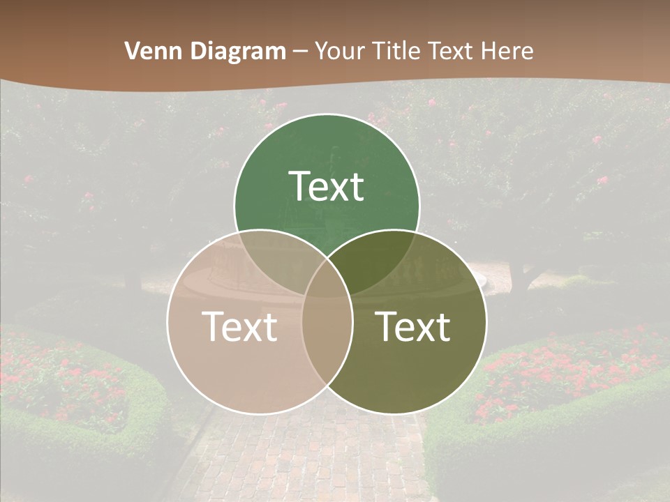 Beautiful Display Trees PowerPoint Template