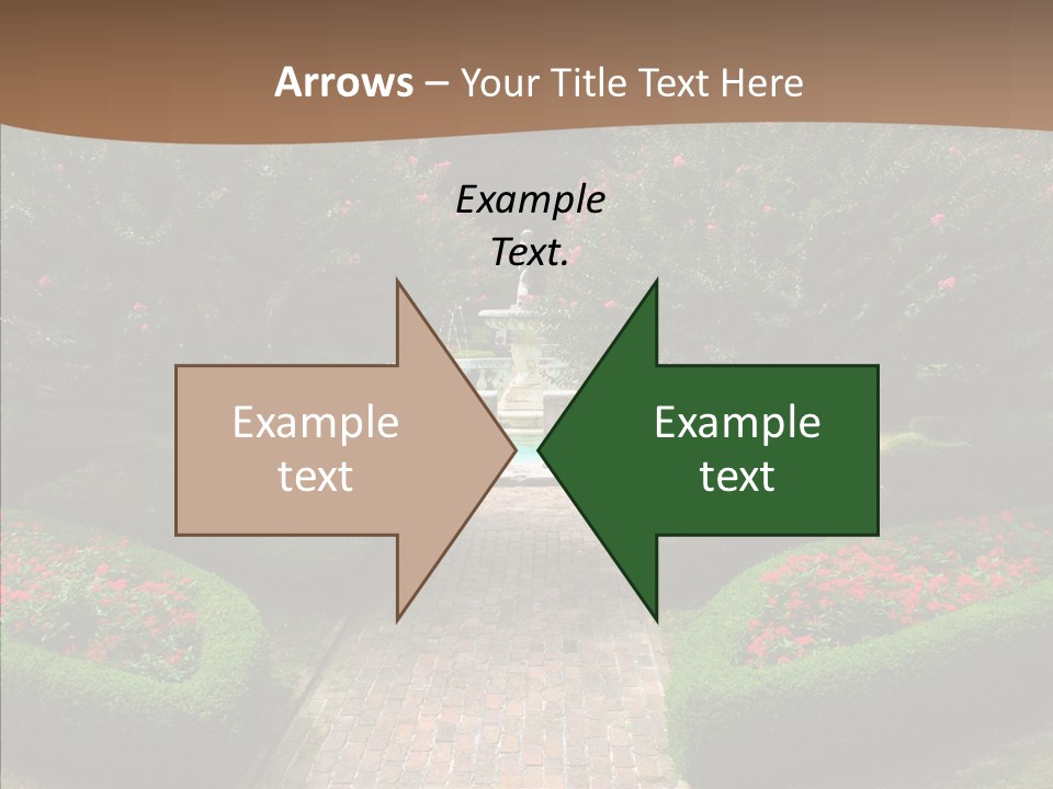 Beautiful Display Trees PowerPoint Template