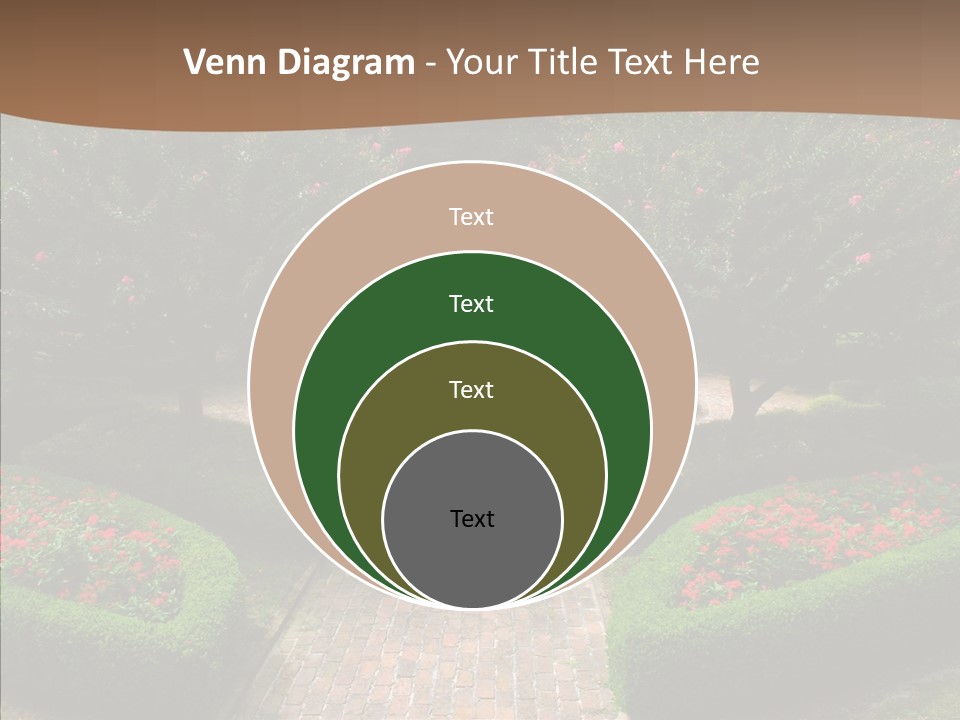 Beautiful Display Trees PowerPoint Template