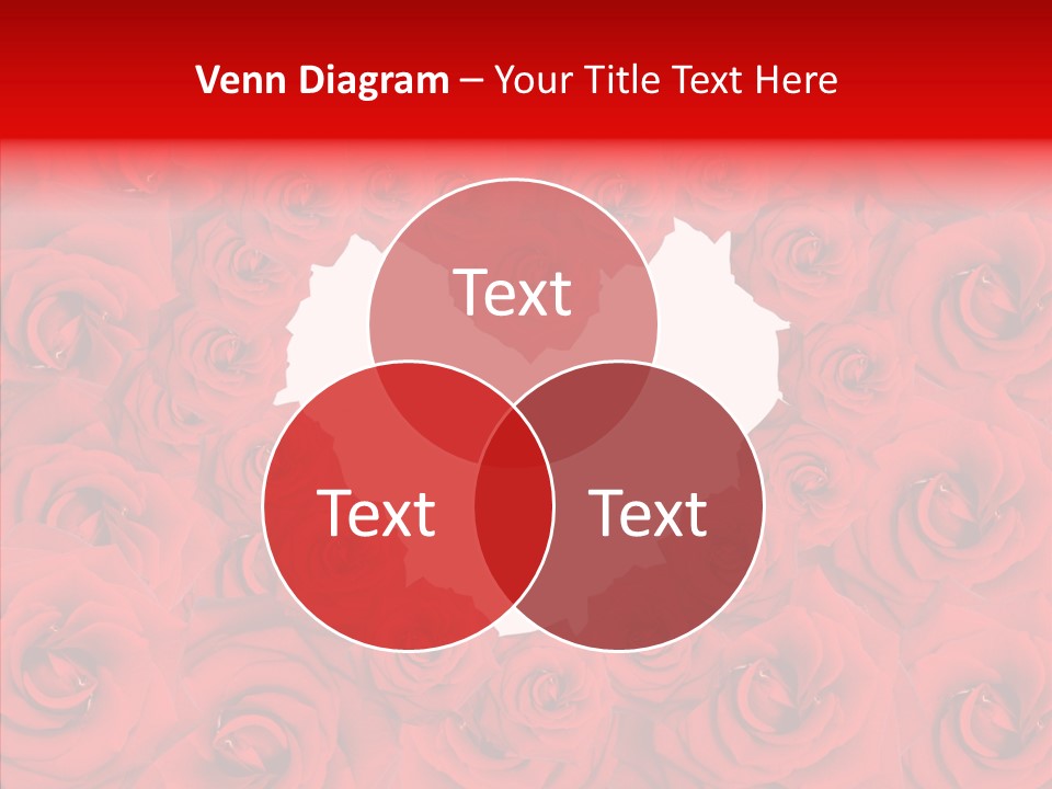 Rose Engagement Passion PowerPoint Template