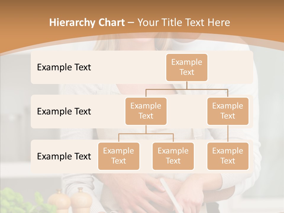 Meeting Profe Ional Figure PowerPoint Template