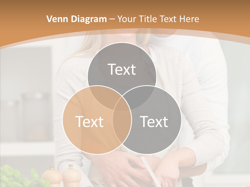 Meeting Profe Ional Figure PowerPoint Template