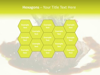 Cooked T Bone Food PowerPoint Template