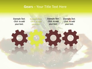 Cooked T Bone Food PowerPoint Template