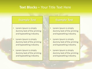 Cooked T Bone Food PowerPoint Template