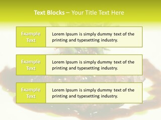 Cooked T Bone Food PowerPoint Template