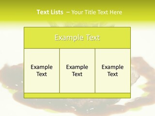 Cooked T Bone Food PowerPoint Template