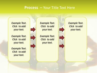 Cooked T Bone Food PowerPoint Template