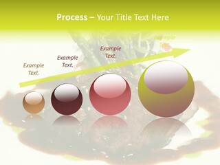 Cooked T Bone Food PowerPoint Template