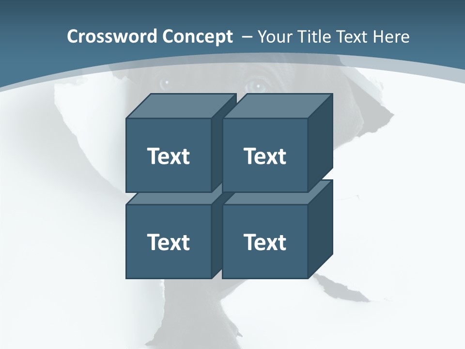 Dog Grey Korsa PowerPoint Template