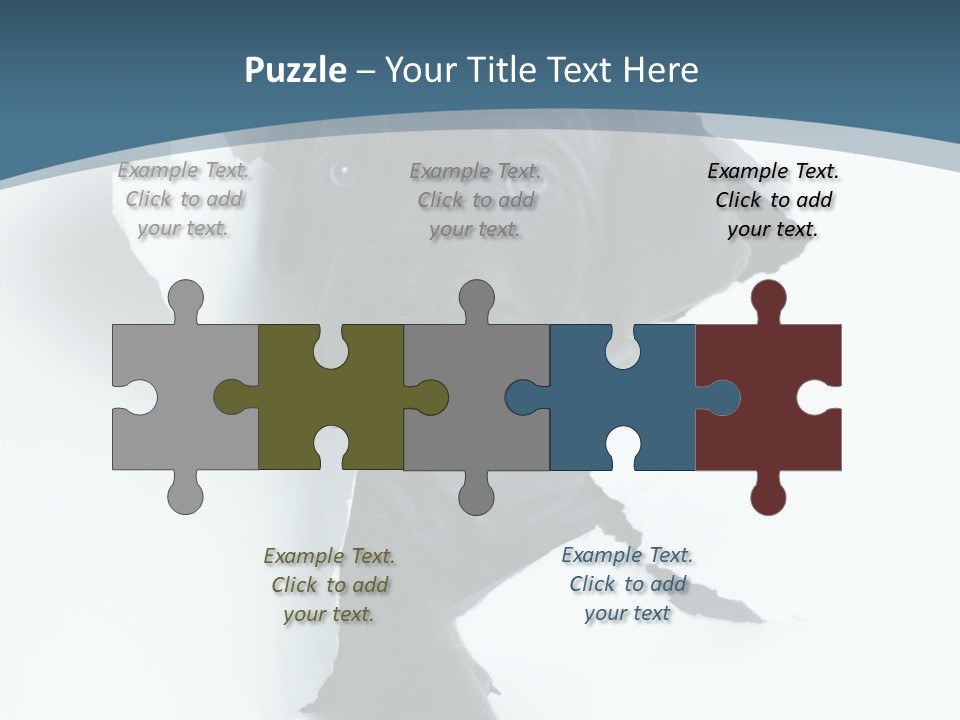 Dog Grey Korsa PowerPoint Template