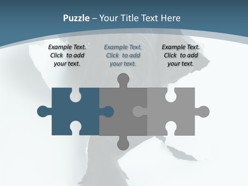 Dog Grey Korsa PowerPoint Template