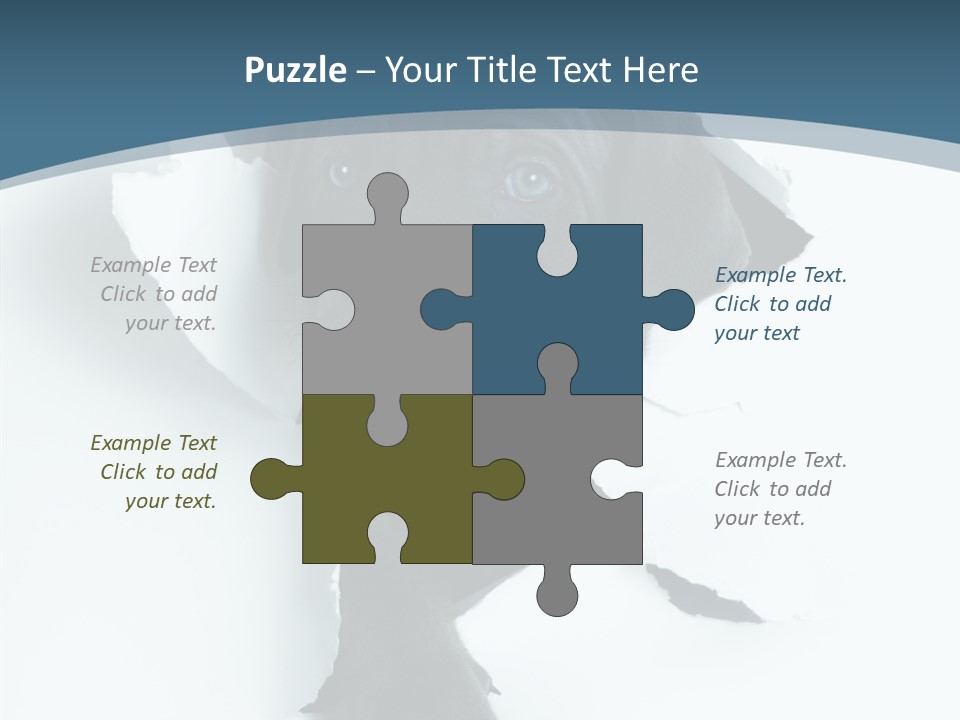 Dog Grey Korsa PowerPoint Template