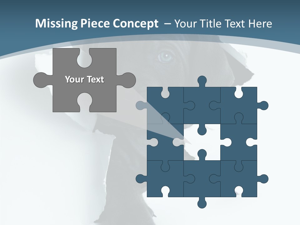 Dog Grey Korsa PowerPoint Template