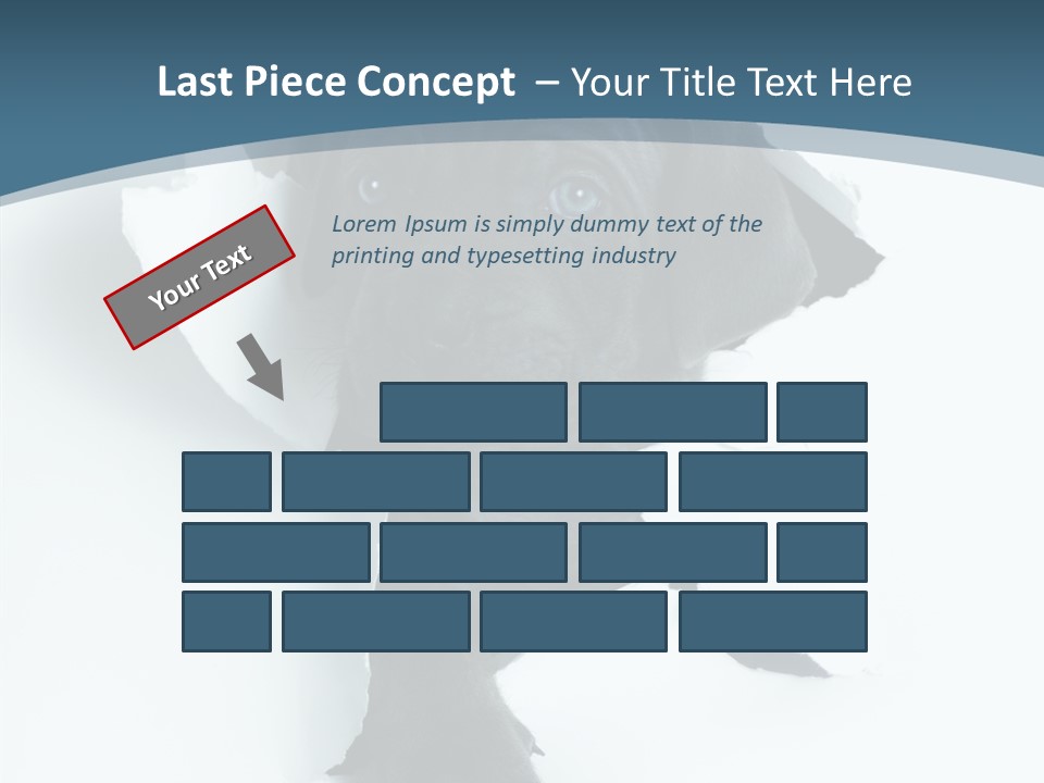 Dog Grey Korsa PowerPoint Template