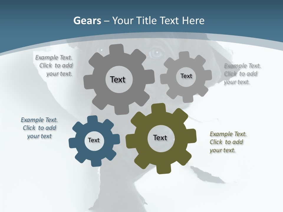 Dog Grey Korsa PowerPoint Template