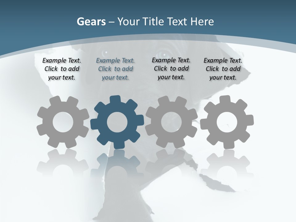 Dog Grey Korsa PowerPoint Template