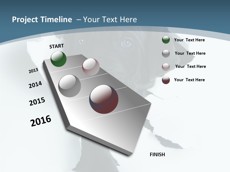 Dog Grey Korsa PowerPoint Template