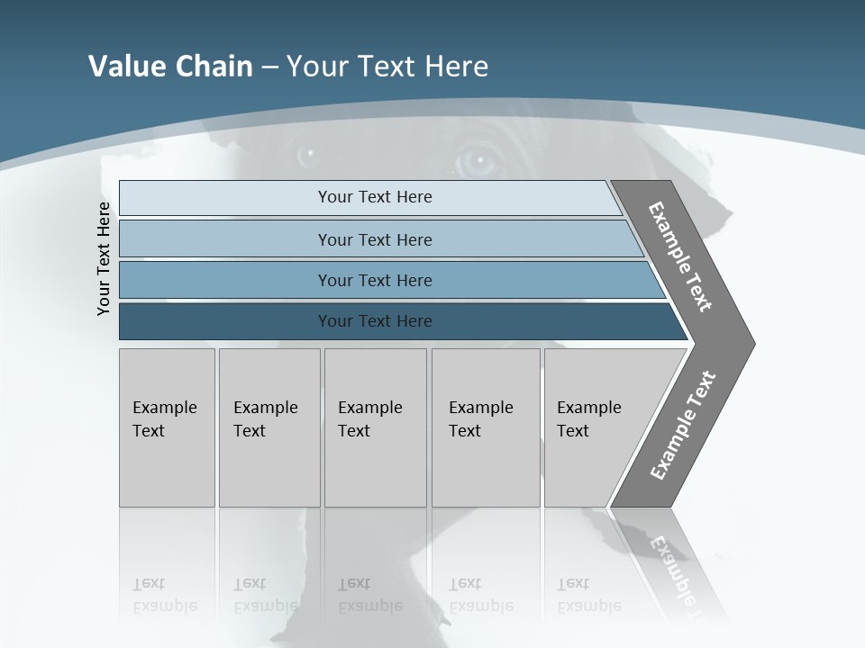 Dog Grey Korsa PowerPoint Template